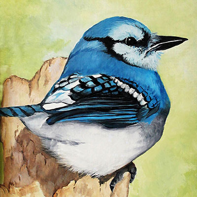 becky_west-blue_jay_400x400 Becky West - Blue Jay