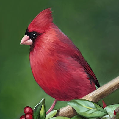 becky_west-cardina_and_holly_400x400 Becky West - Cardinal and Holly