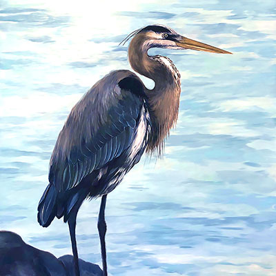 becky_west-here_fishy_400x400 Becky West - Here Fishy, Fishy