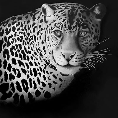 becky_west-leopard_400x400 Becky West - Leopard