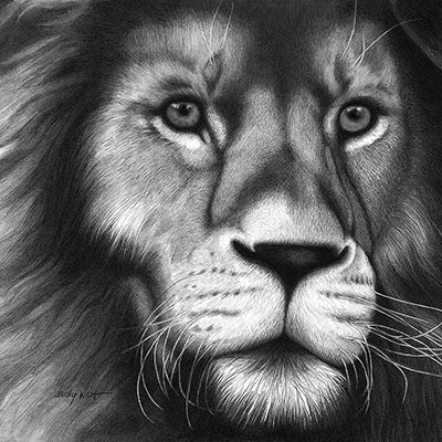 becky_west-lion_of_judah_400x400 Becky West - Lion of Judah