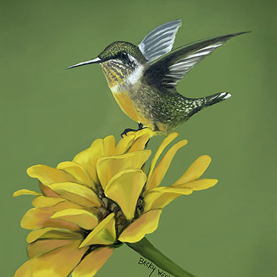 becky_west-little_hummingbird_400x400 Becky West - Lion of Judah