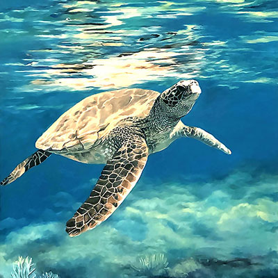 becky_west-sea_you_later_400x400 Becky West - Sea You Later