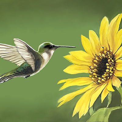 becky_west-sunflower_and_hummingbird_400x400 Becky West - Sunflower and Hummingbird